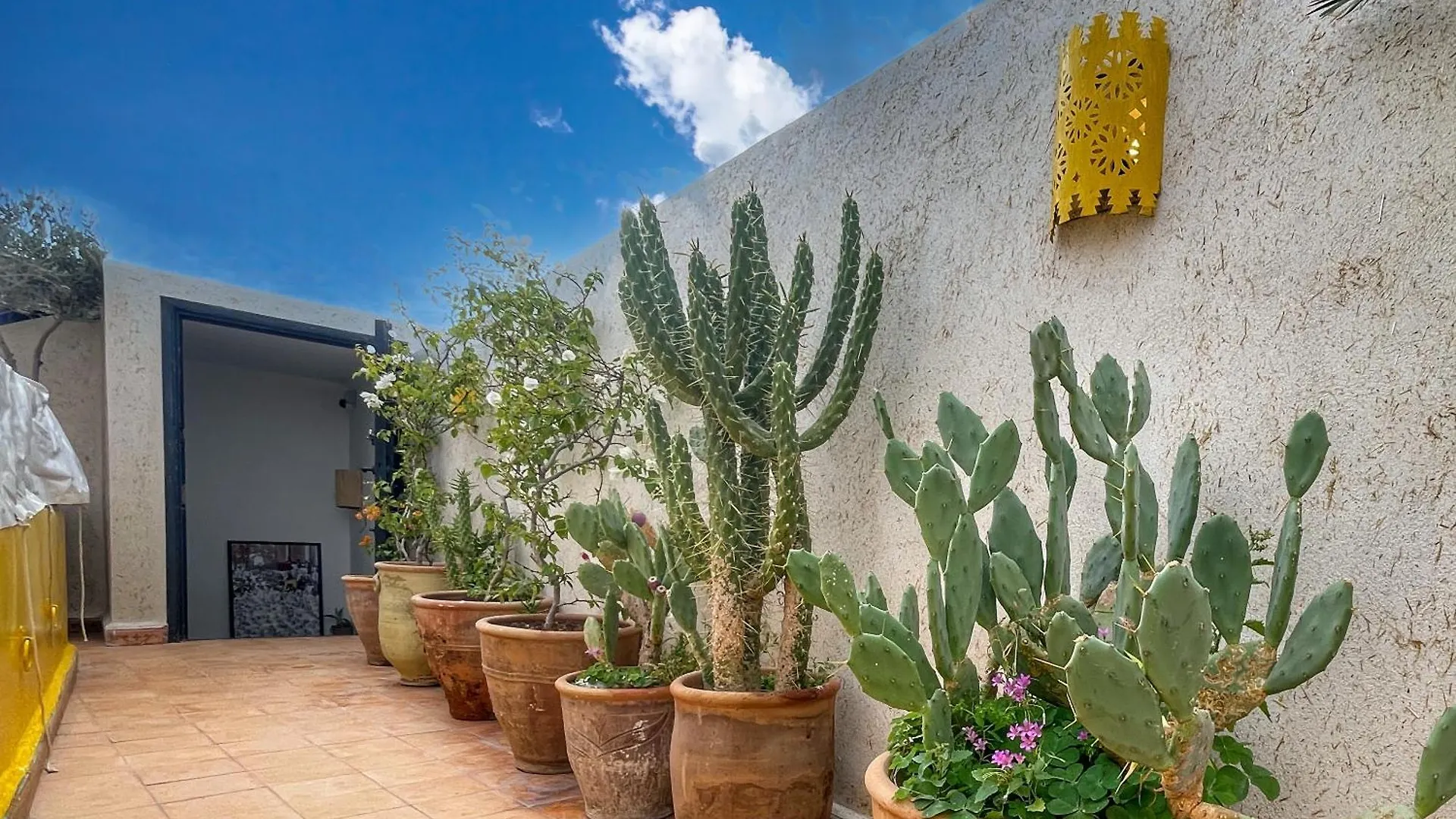 Riad Prive, 5 Suites Et Piscine Marrakesh 0*,